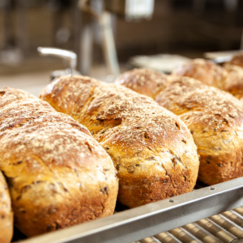 Råg levain bröd på produktionsband | Pågen