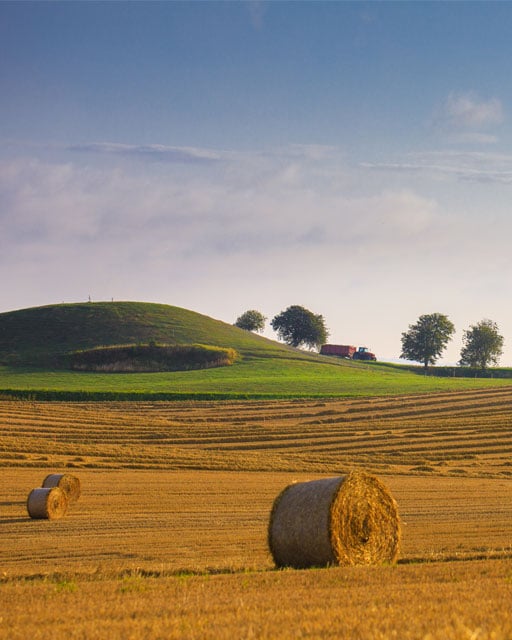 Bild på jordbrukslandskap