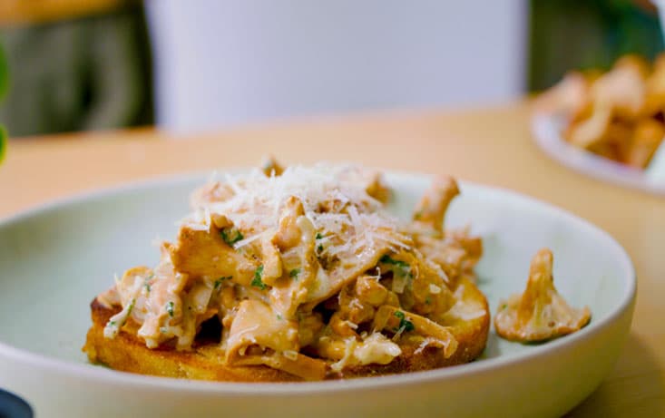 Kantarellmacka - Smörstekt Levain med kantarellstuvning - Recept | Pågen