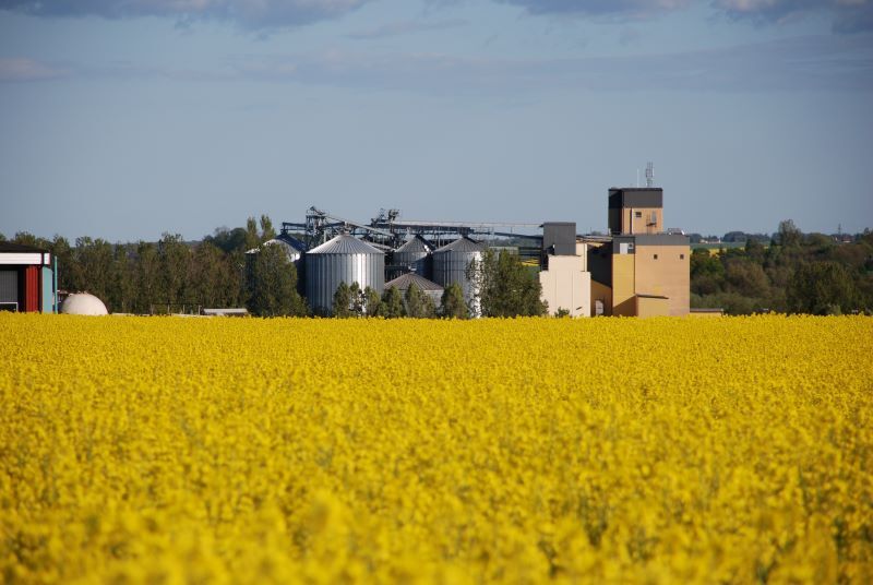 Sommarvikarier till kvarnen i Lilla Harrie